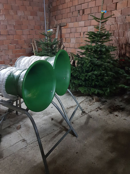 Die Nordmanntanne hat eine dichte Benadelung und ist daf�r bekannt, diese Nadeln lange zu halten.