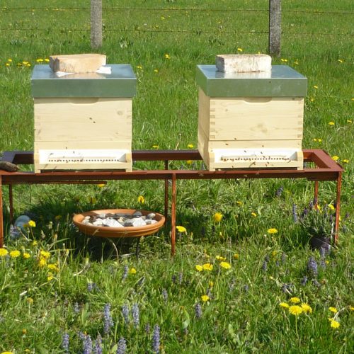 bienen